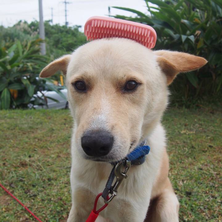 Cb774097 e920 4d74 9638 1f2f077477ef 1574291943283