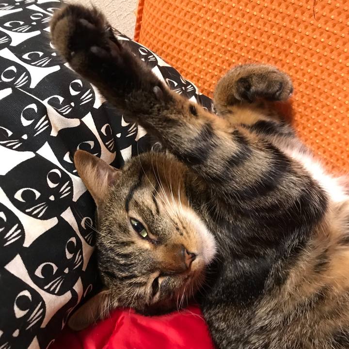 Cb775f27 eaea 44bd a9d5 49b43b910f8e 1559057038442