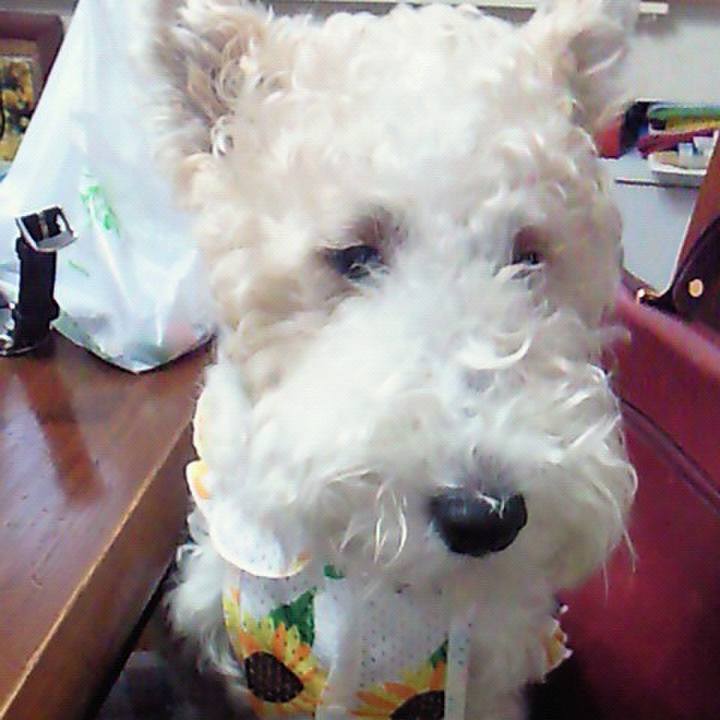 Cb778481 63c2 4be2 9768 0f5ea9e48e1d 1594172051496