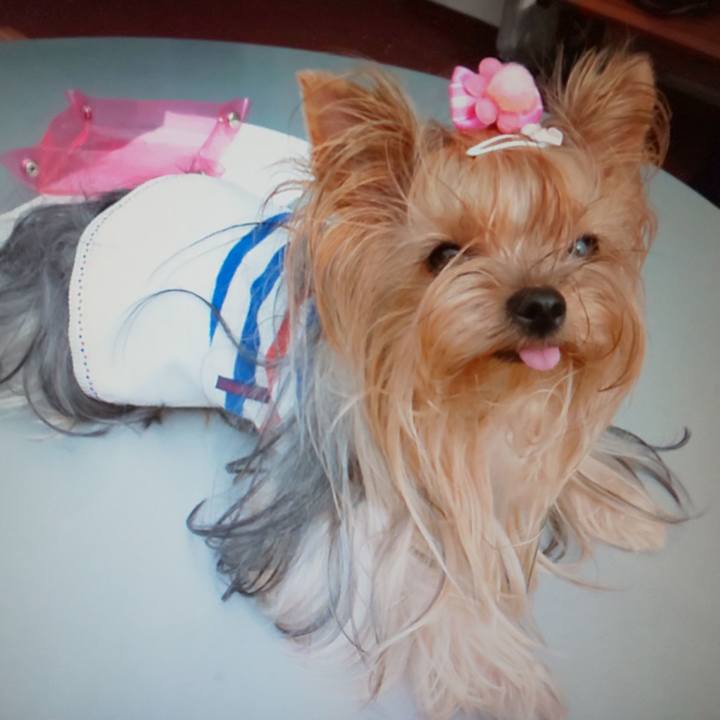 Cb7785f6 1c84 471a 98d4 38f7c84ad385 1563252813911