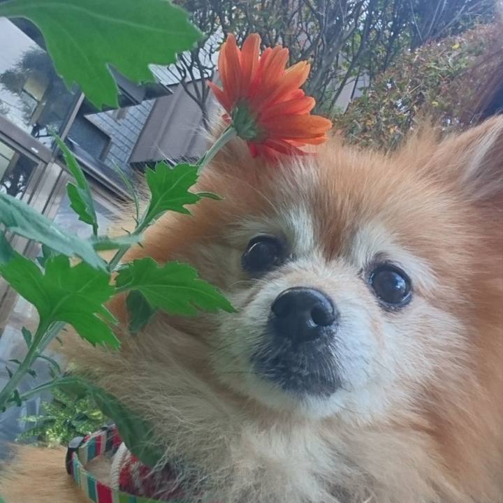 Cb77876f b31f 478c 9c54 8c3431eb9f0b 1541026292271