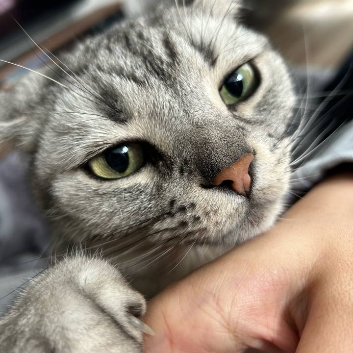 Cb780242 e2cf 4487 9346 0e52ae821405 1679545627110