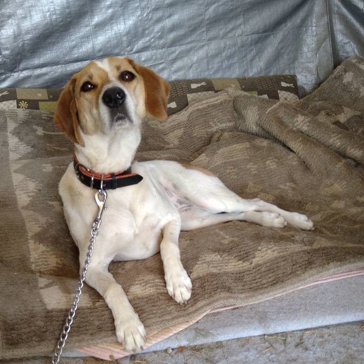 Cb7846f9 9c44 4c4c 9819 0601e1bddce4 1623296400144