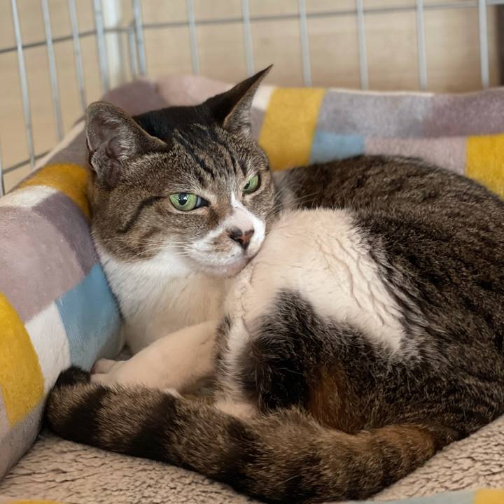 Cb785bf2 1a18 4141 ac14 86b034253498 1617673252056