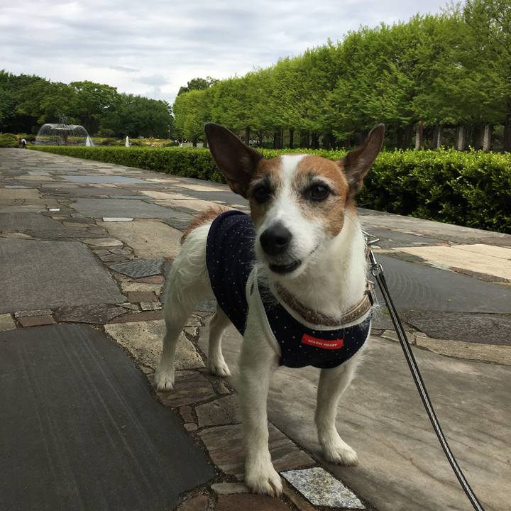 Cb789425 b99a 483e a0a7 b8f158e47b72 1557105879694