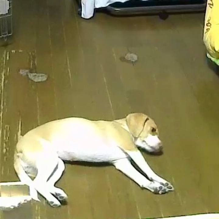 Cb78a98f 7c40 4ca4 b16b 0dd1cec9aded 1534843321934