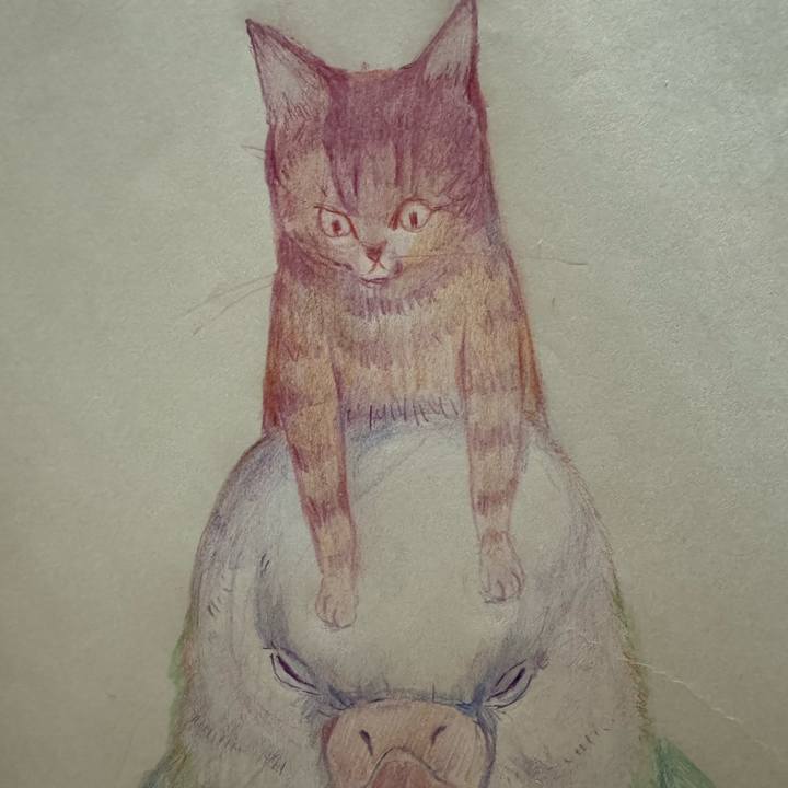 Cb78d2ff 18c0 4efa a0aa 670ca5ddf4a1 1726404144238