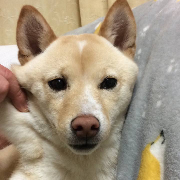 Cb78edaf 8d79 4104 abf3 97fcda1755c7 1518953793959