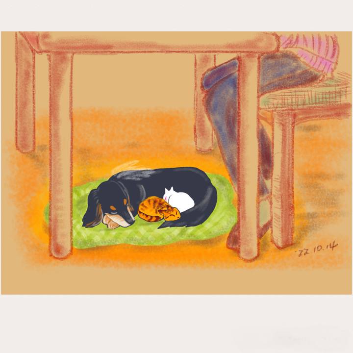 Cb790a6b 157a 4c7c b0b3 4ca74a1dad81 1665752218056