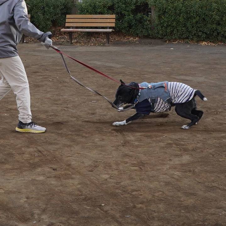 Cb791ce9 536f 40c6 bcd9 0e77b3714f41 1768610777615