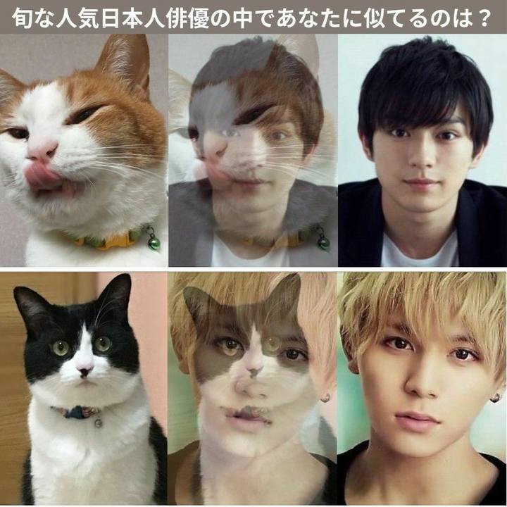 Cb792afb e572 4ae1 a00e 1f5770ace176 1528549916652