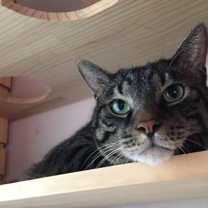 Cb793ce5 9ef4 4fa3 a316 0baec2a40715 1537417401682