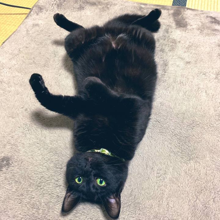 Cb794936 431b 44ca 9abb 67fe537868ff 1554469262206