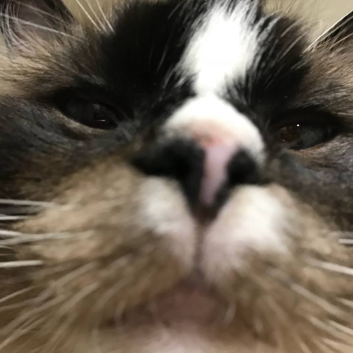 Cb79792e eede 47e9 ab0f 812fbd354a46 1531057936451