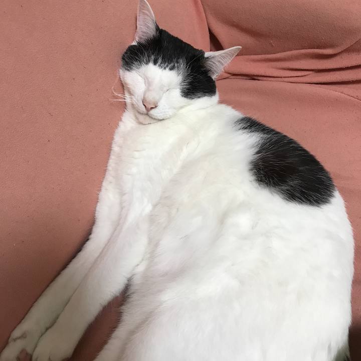 Cb797acb 7148 4f29 b9a5 57fba41617d8 1529339880441