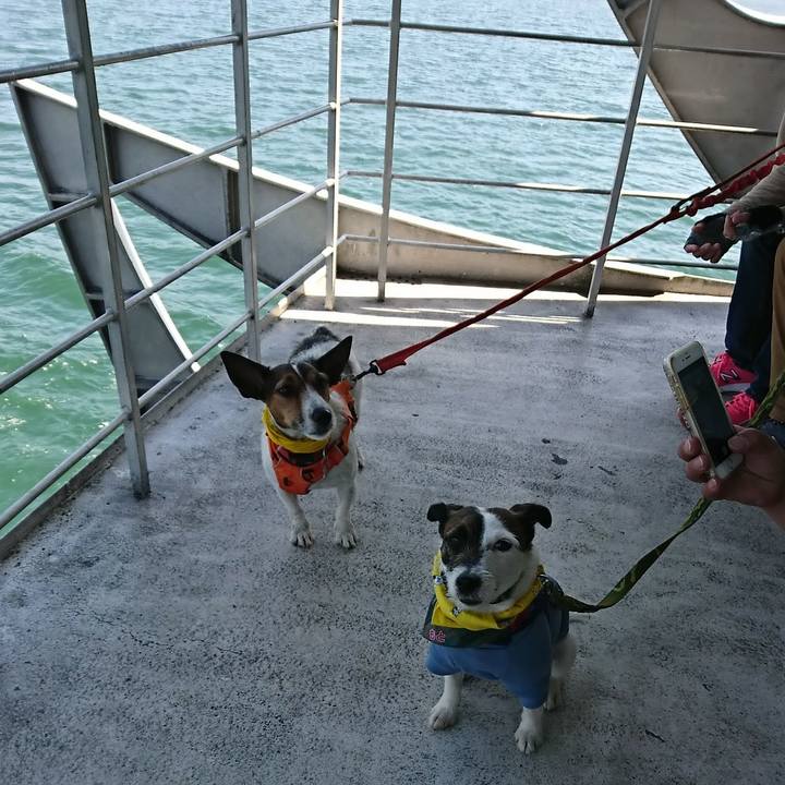 Cb7984a6 a718 4ec5 b4c0 6ba3538d8be4 1524285869140