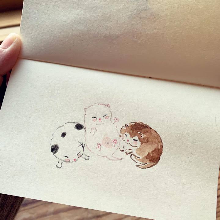 Cb79a424 43f8 4d61 9248 edc4d3fe4aef 1645914646828