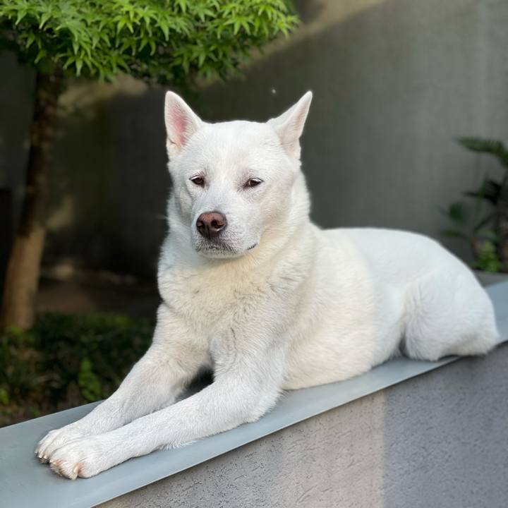 Cb79a466 5193 4623 b826 b08657352f15 1622191973960