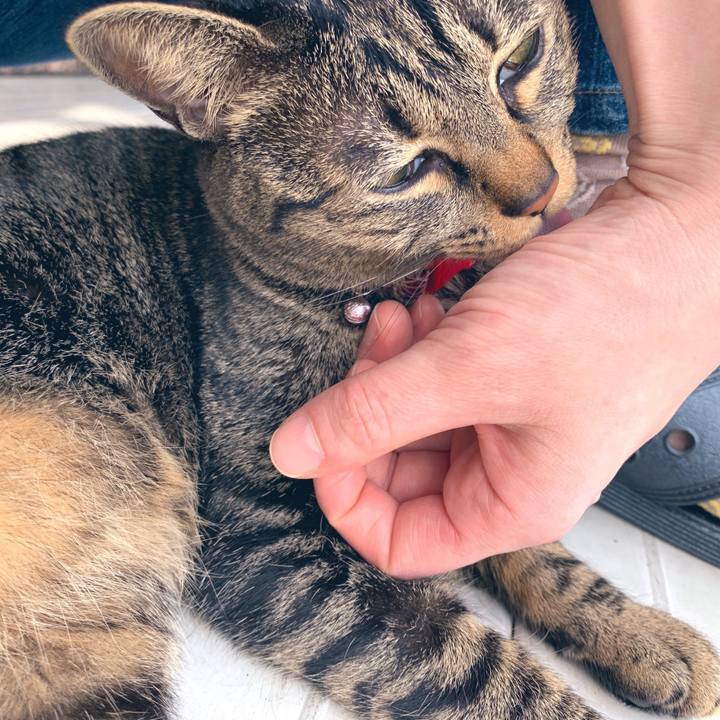 Cb79ae84 377d 4bf8 a943 d5eb5cc80fd7 1553071595125