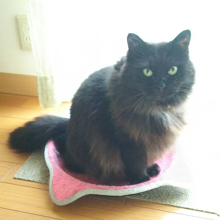 Cb7a64ed 6a4c 4d3a 8742 90baa173eeab 1538006428862