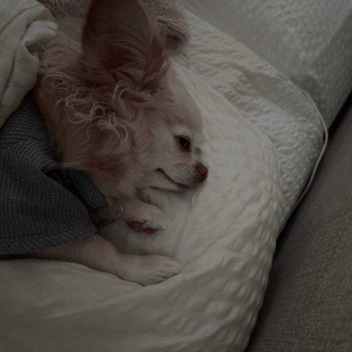 Cb7a81d5 68f4 4e05 a2e8 7b34559af940 1775092927000