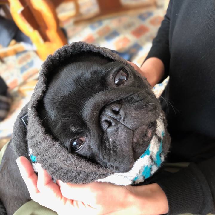 Cb7aa667 b7d5 444f a399 5c63e9689b91 1609547504030