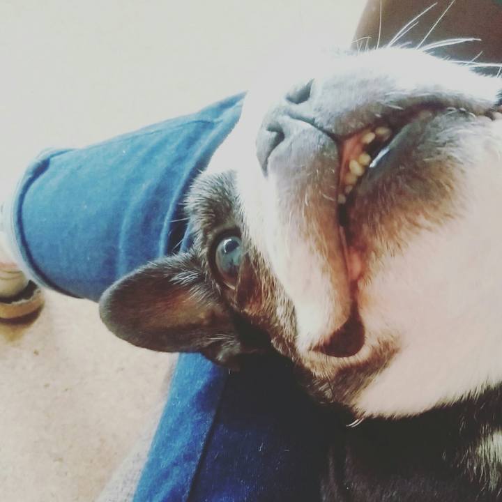 Cb7adbba 734e 4fba 98f5 ce1e19755006 1541393968528