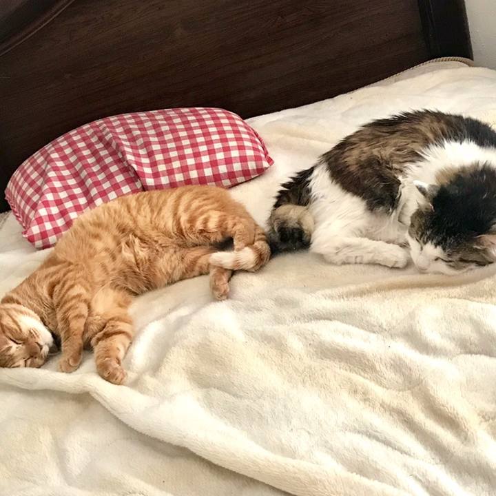 Cb7b3d33 9c1c 4586 9918 fdb1148777bc 1559616295603