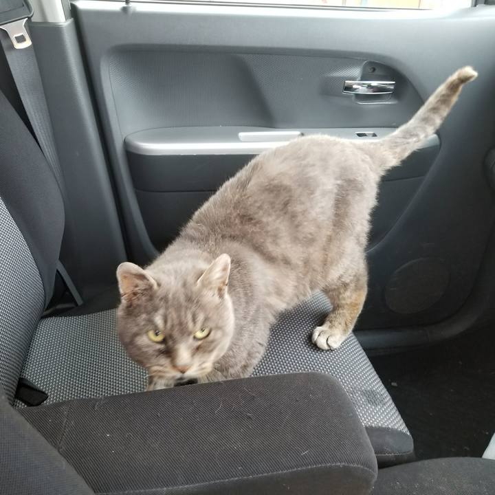 Cb7b8885 4468 4c96 a133 4467bbc07258 1515997735304