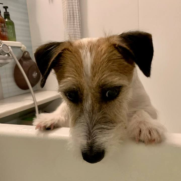 Cb7bac54 7837 4f8b aad3 3ce24041bb75 1682598791309