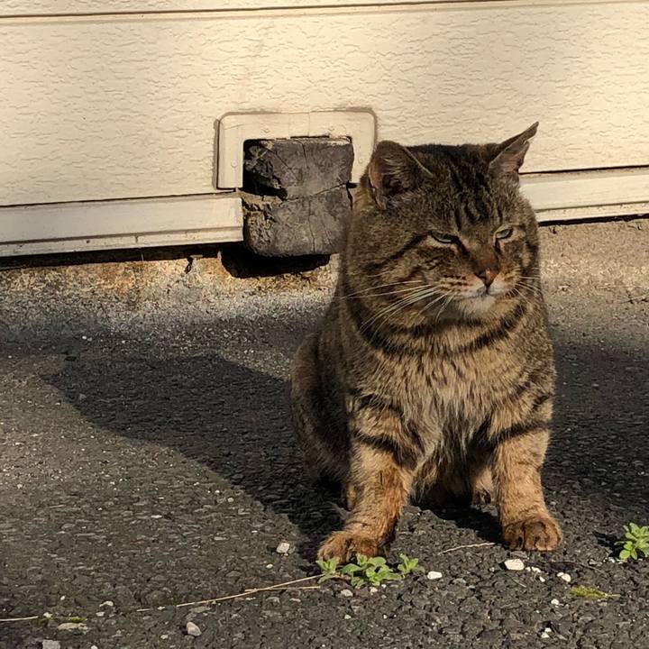 Cb7bfba7 cd1b 4c8f 9e14 6b2d25f8429a 1521281383681