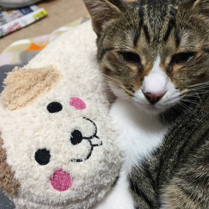 Cb7c0596 895c 4639 a2a3 d3adb9ea1989 1540914067924