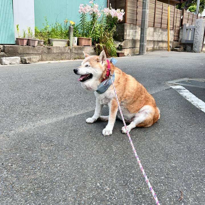 Cb7c0c19 32ab 49dd be95 6f1dd538683a 1751507748871