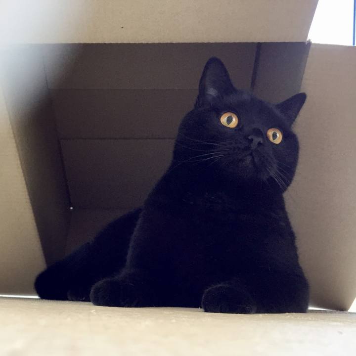 Cb7c0fcc d241 4cfc a762 8cbd762974d8 1557699870280