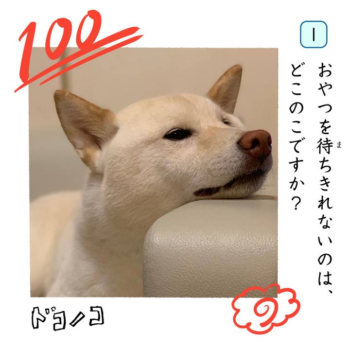 Cb7c1192 c611 4d4b b516 8ee6c3e3452a 1744376659642