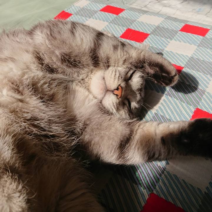 Cb7c2882 204b 406c a607 dac4e9d15fc0 1522457378431