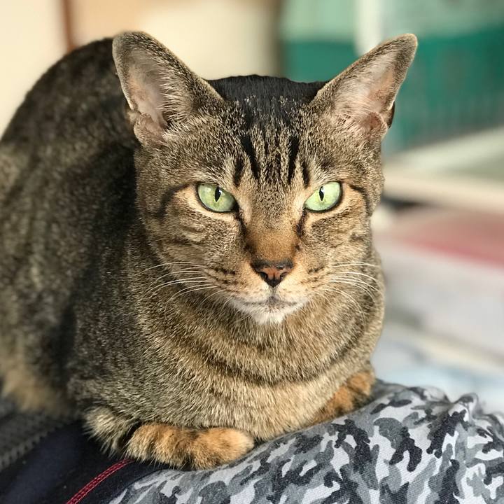 Cb7c292a d305 4f45 9502 bd51a51ca85c 1525309774637