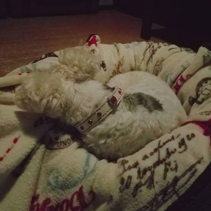 Cb7c3320 e56d 42ec 92f9 9513d12a256f 1543384219485