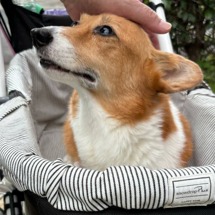 Cb7c415d 5899 4368 a0f1 e0566c32b67d 1749867418425