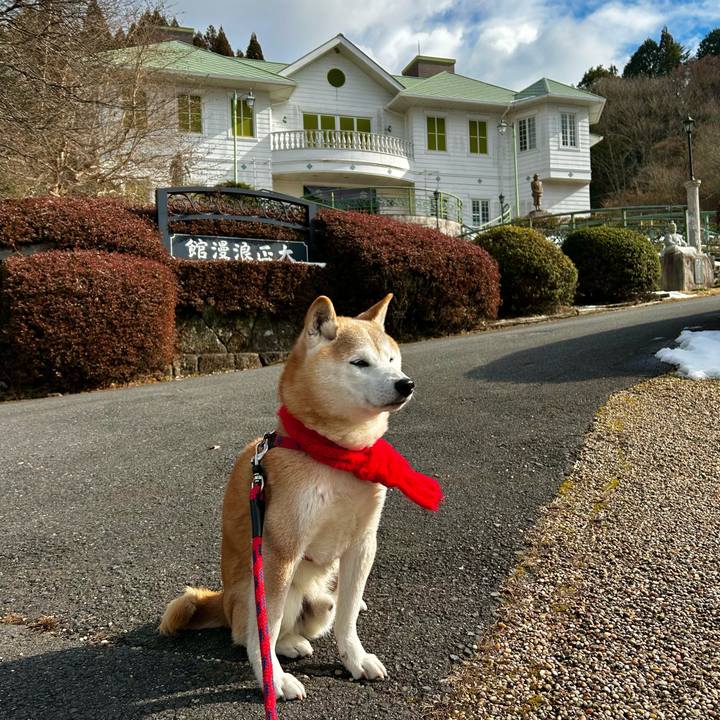 Cb7c4447 99fb 4665 bc3f acf3ec5c0dbe 1770808826753