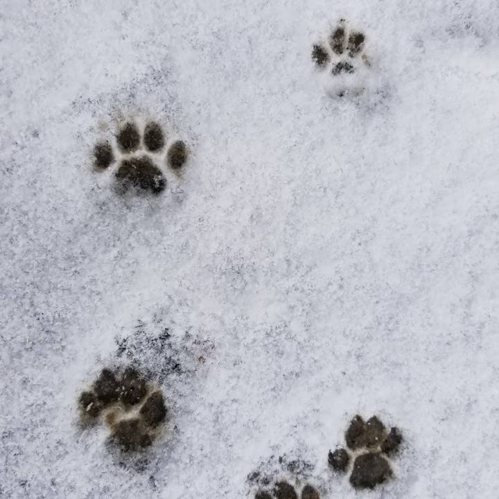 Cb7c4680 b640 495f a6c8 271e085e05a4 1523578548940