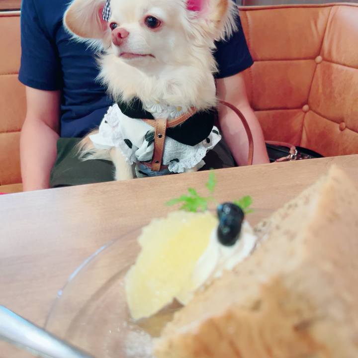 Cb7c4b46 3023 47ff aec9 f635b3f8c2d0 1692428722313