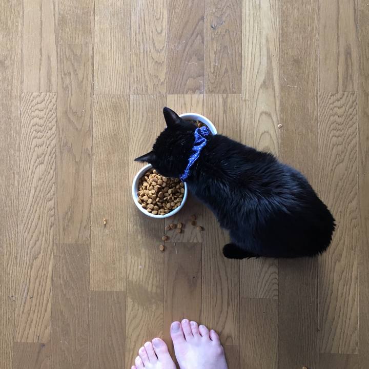 Cb7c5698 fd38 4d27 8a8f 967223fa45b2 1552478510785