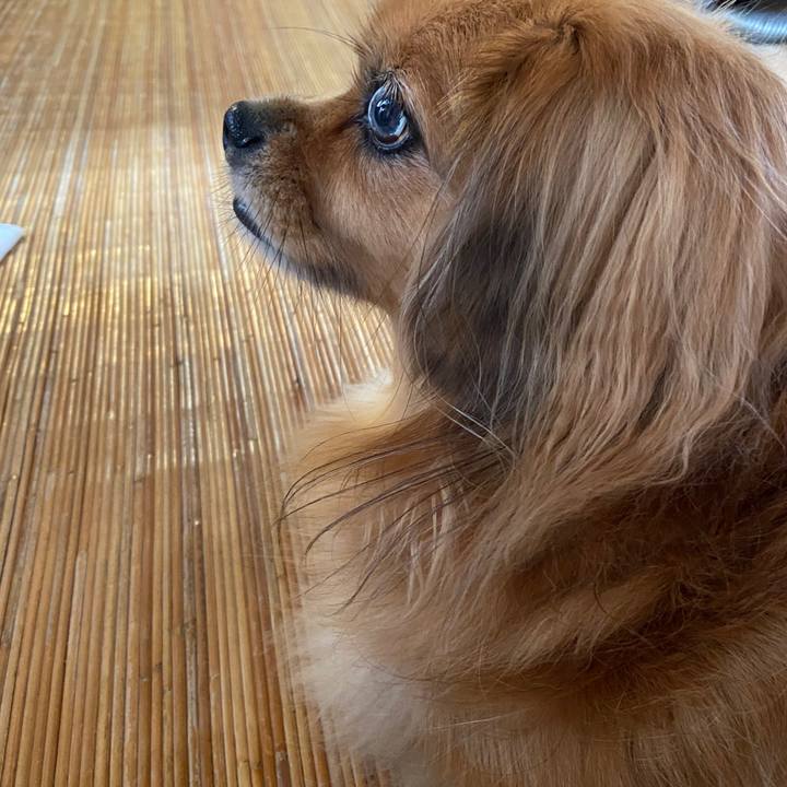 Cb7ccc05 8aba 419a 9905 8d42d68c9f79 1664409105811