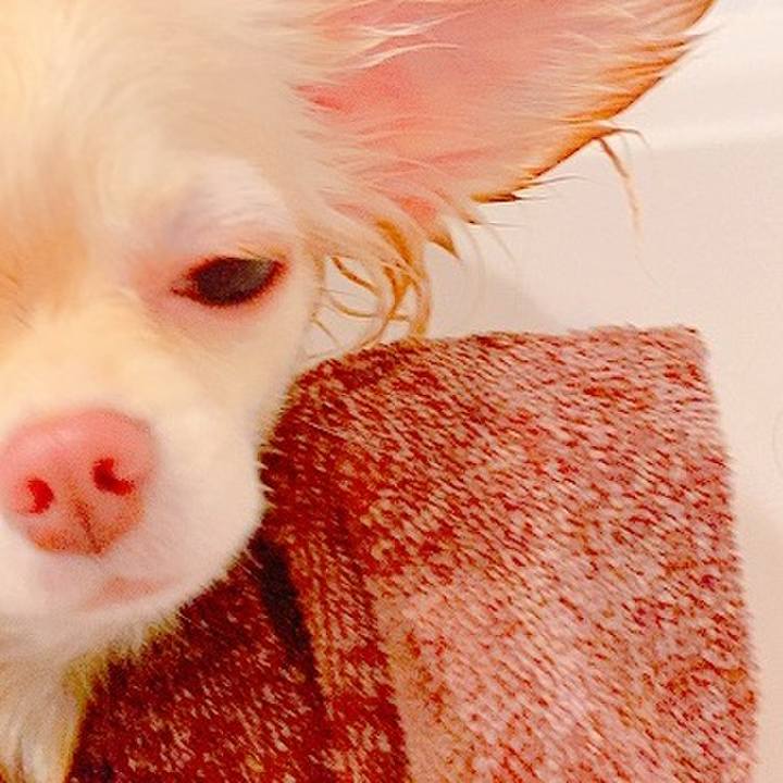 Cb7ce5d3 94bf 4def 99af 40e05d0f6d13 1626265972480