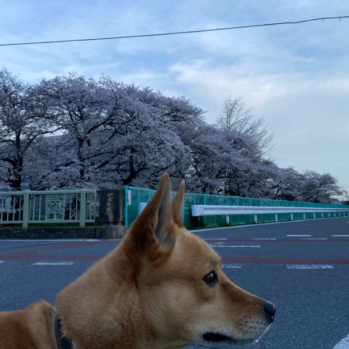 Cb7cf574 5019 499c 8409 9864b665799c 1712484555170