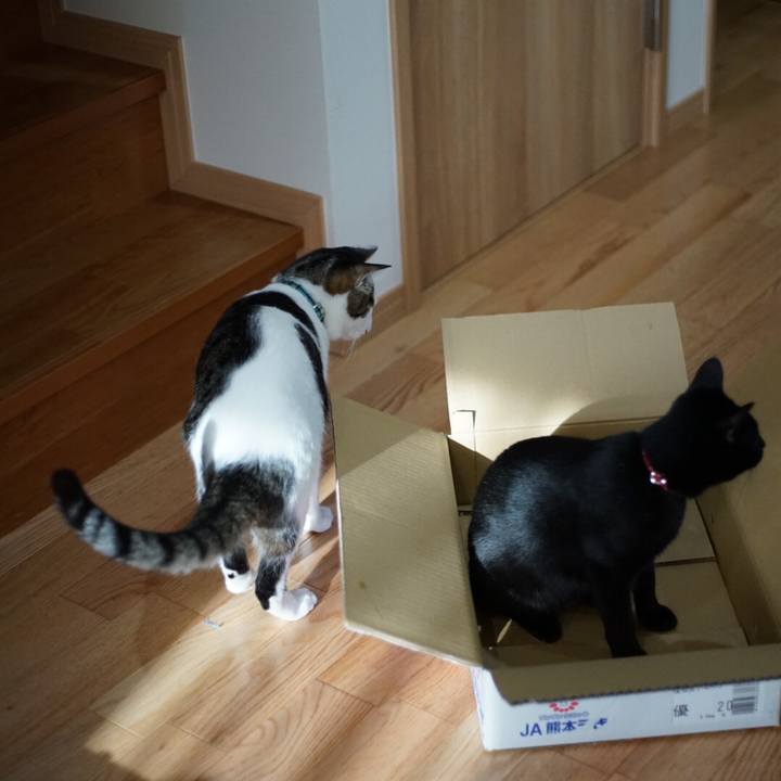 Cb7d0426 a3a0 4f0c 90fe d8b2813ebc60 1521071381077