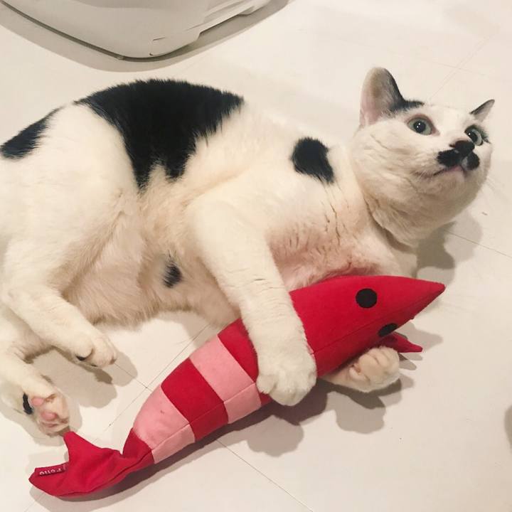 Cb7d37ed ce1e 4d11 a002 d1c41a30f8f5 1521380991907