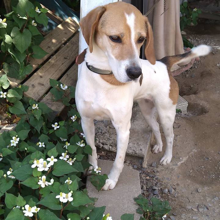 Cb7d38b2 2f3b 4dec bd8e a16aa7b42b8a 1653804325575