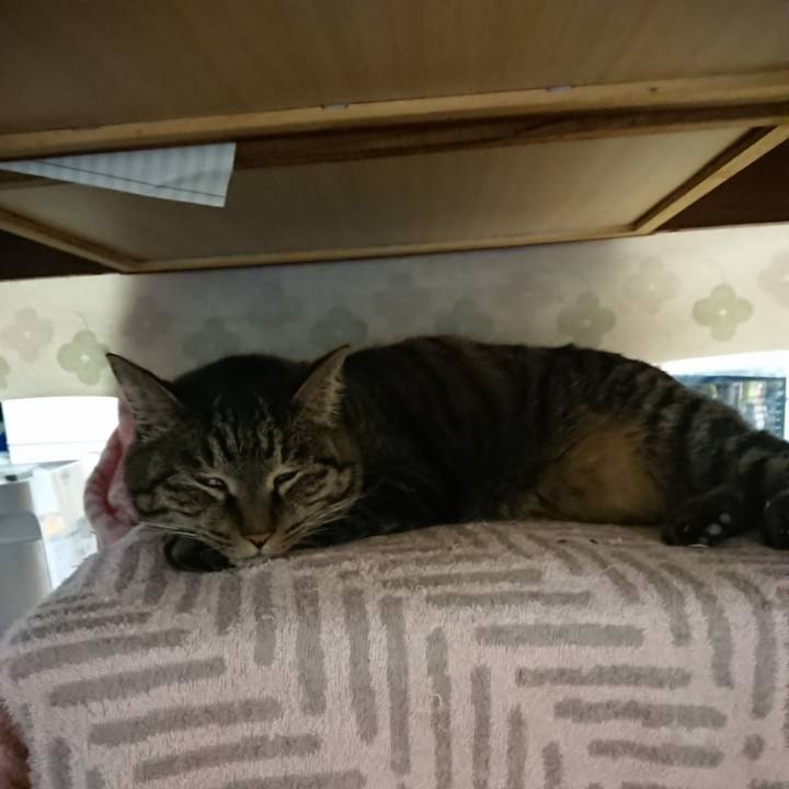 Cb7d5243 703a 4e99 9c15 743212476bb7 1641938380010